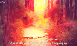 rosi视频,揭秘科技与艺术的完美融合